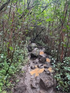 Manana Waterfall Trail