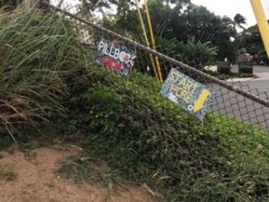 ラニカイ・ピルボックス・トレイル