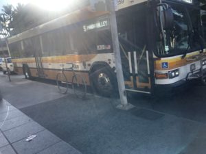 The bus
