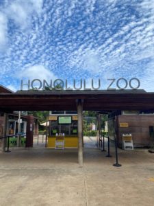 Honolulu zoo