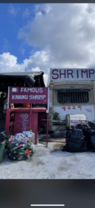 famous kahuku Shrimp