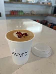 ARVO cafe