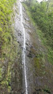 マノアの滝（Manoa  Falls）